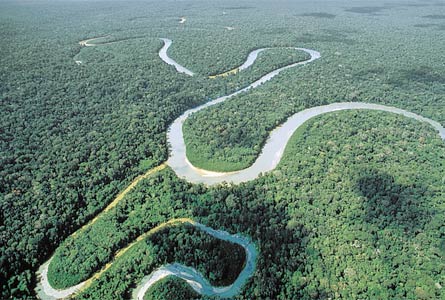 selva amazonica