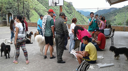 Pereira vacunación contra la rabia en caninos y felinos en las Veredas Santa Rita y Fermín López