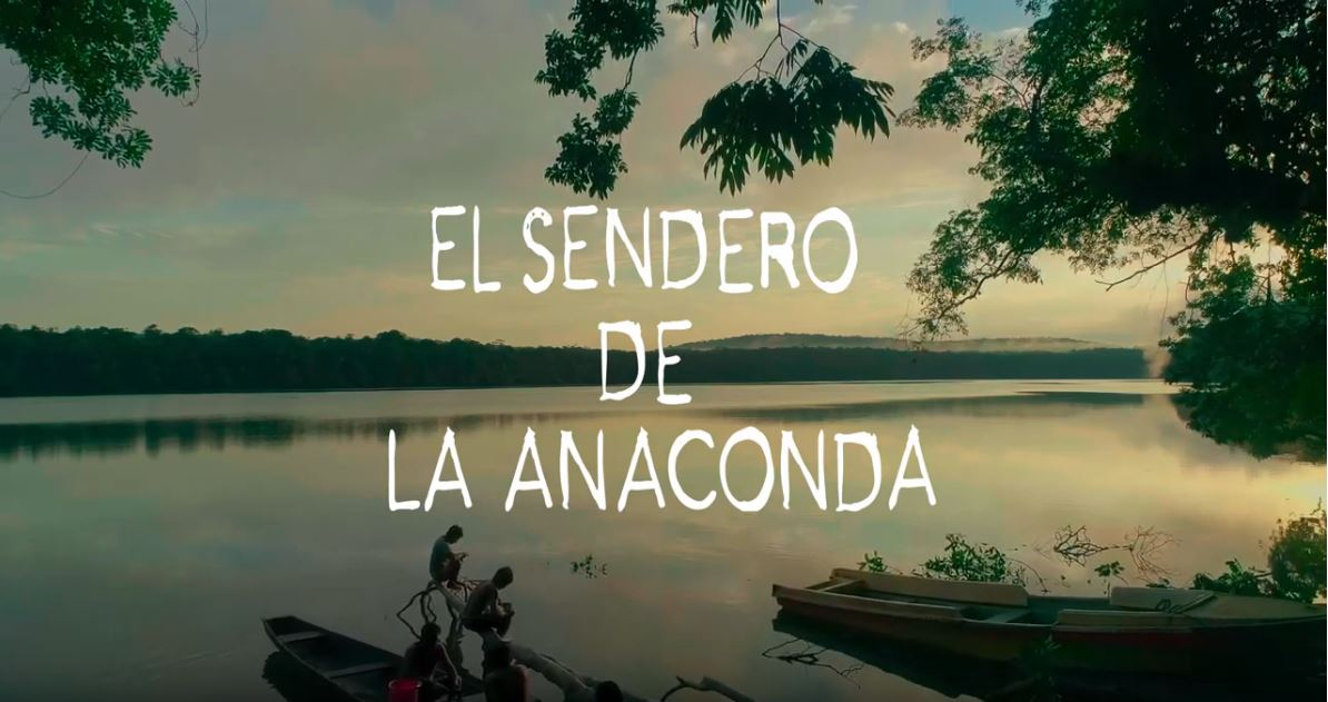 Más de 16 mil personas fascinadas con El Sendero de la Anaconda - Eje21