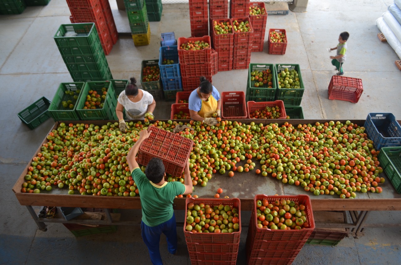 Alimentos